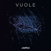 Vuole by Jam2go