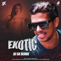 Exotic (Remix) - DJ SK by All Indian DJs Drive