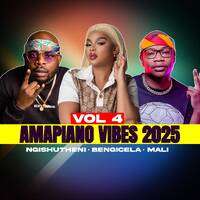 Amapiano &amp; 3-Step Vibes 2025 Vol 4 | Ngishutheni | Isaka 6 AM | Bengicela &amp; More by supremacysounds