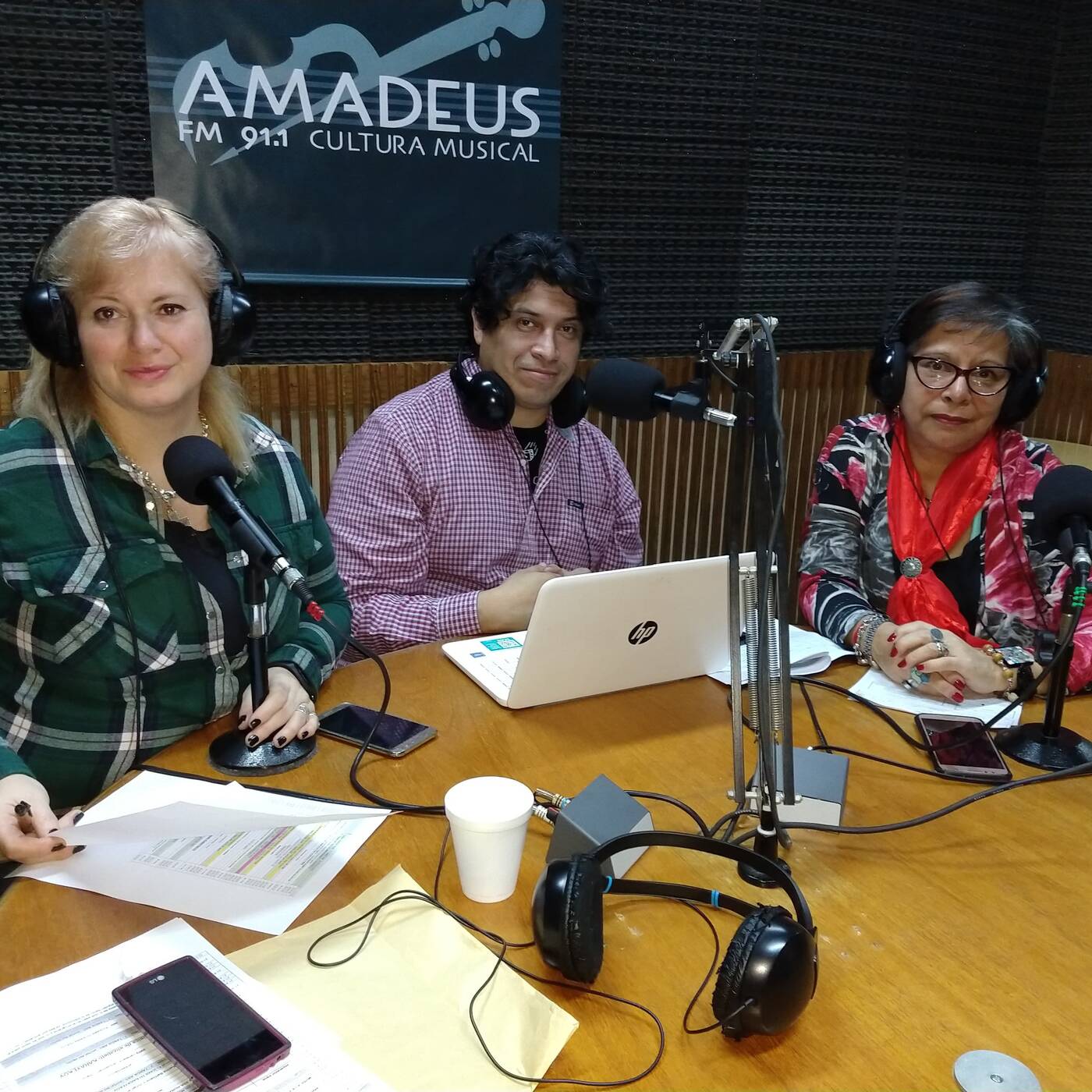 La propuesta radio - prog 70 - 31/7/19 - 1era hora - Lic. Silvia Ovsejevich - PS. Soc Irene Ocampo episode artwork