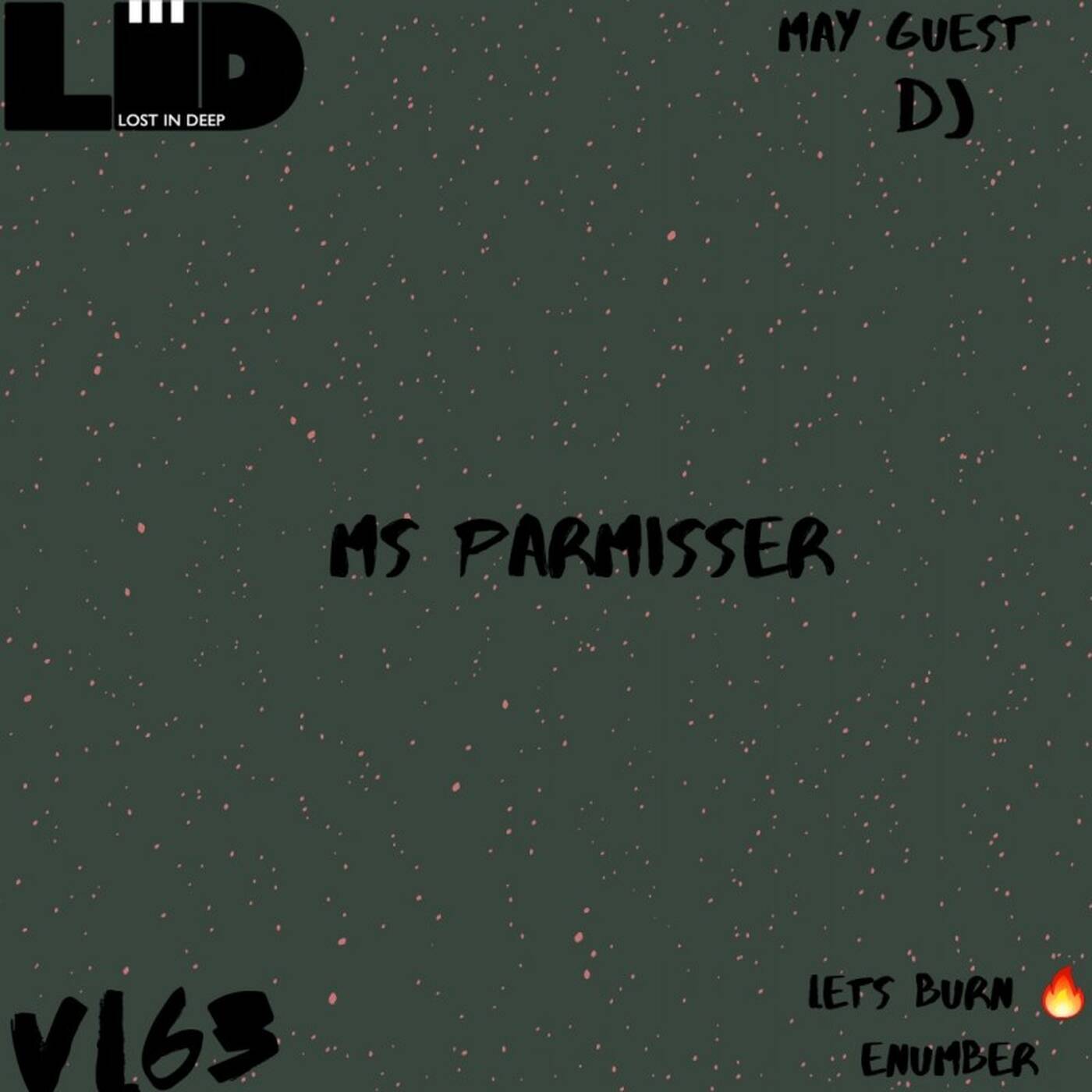 Lost In Deep VL 63 Guest Mix By Ms Parmisser episode artwork
