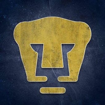 V&aacute;squez Carlos