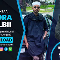 RNH 754, October 9, 2022 Soora Qalbii by NHStudio