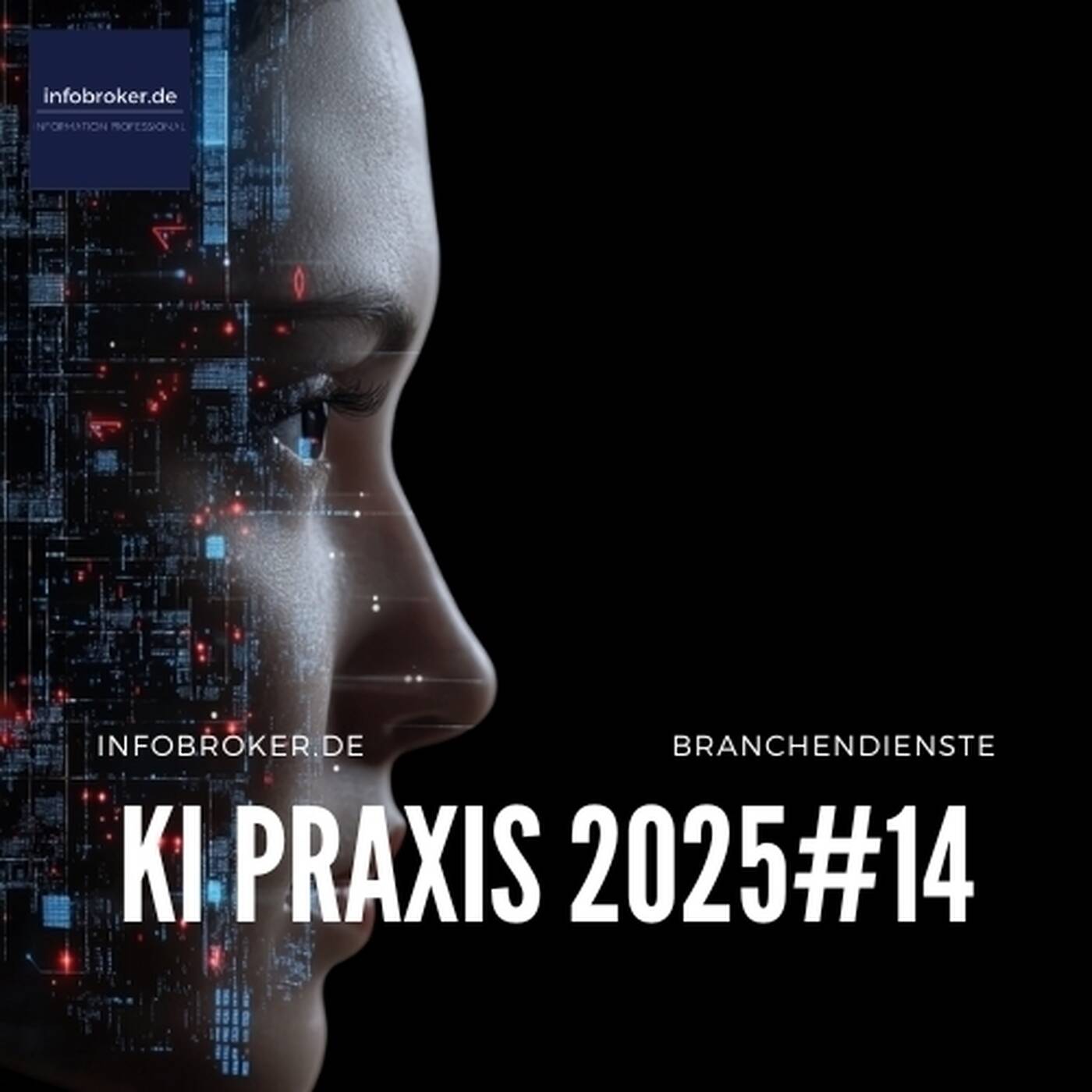 KI-Praxis – 2025#14 – Künstliche Intelligenz in Branchen und Märkten episode artwork
