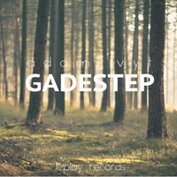[LPR039] Adam Vyt - Gadestep E.P *ON SALE AT BEATPORT..!!! [LIZPLAY RECORDS]