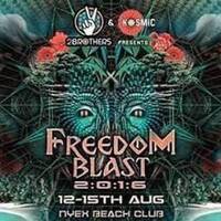 Ananda @ Freedom Blast, Goa, 2016 by Ananda Barsaikia