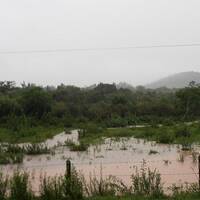 bosque oscuro by Hans Krauß