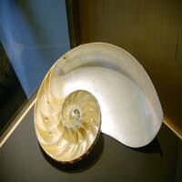 Lino Casu in THE MIX - REWIND HEAVEN by Lino Casu