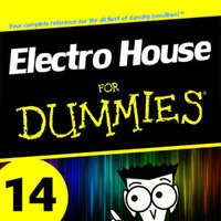 Electro House for Dummies 14 by Kill Yourself