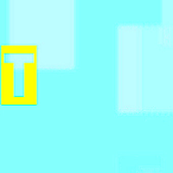 Toyah's House Shakin Pepo.