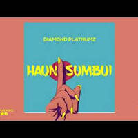 Diamond Plutnumz - Hainisumbui (Official_Audio) by Ddj Trez