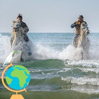 Bastos Atd Tribu Cathare