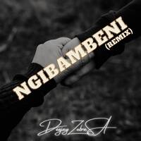 Deejay ZebraSA - Ngibambeni (Remix) by Deejay ZebraSA