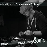 musicblog &amp;wir #004 by sené ceanes by &wir