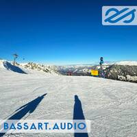 basscast 2501 by bassart