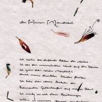 01 an einen mandrael Z1-4 blühen der nacht by Michael Gasperl