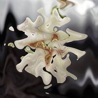 Petit morceau tout blanc by Gérard Delassus