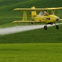 Monstroplante, le soja qui fait boum !