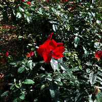 Ay Palas 11.11.2024 @ ApAçık Radyo by Ay Palas