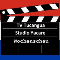 Wochenschau by Hans Krauß