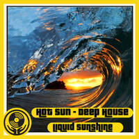Hot Sun &amp; Deep House - Liquid Sunshine @ The Face Radio - Show #135 - 10-01-2023 by Liquid Sunshine