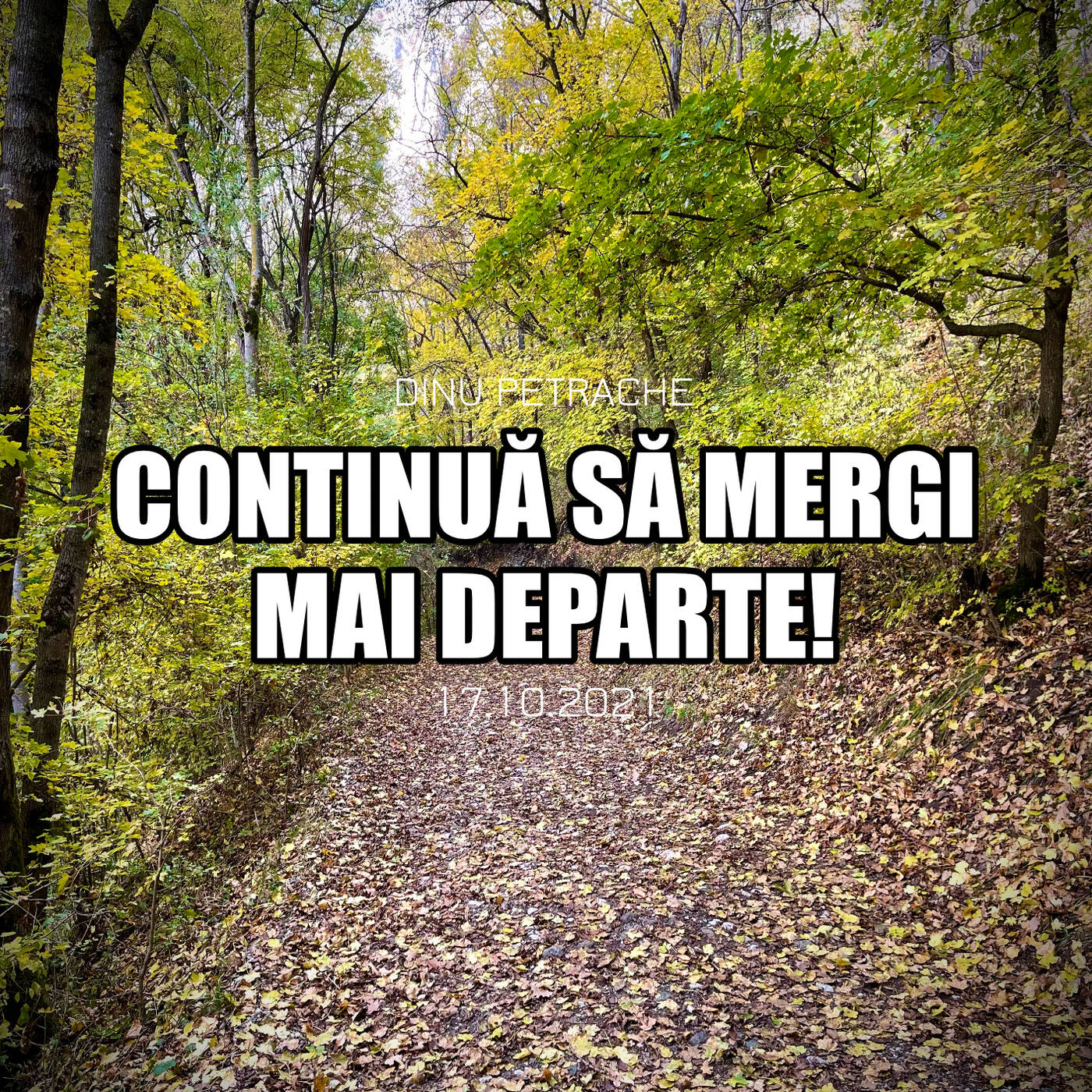 Continuă să mergi mai departe! episode artwork