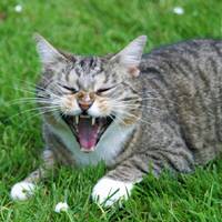 Love &amp; Peace 2017 by flok