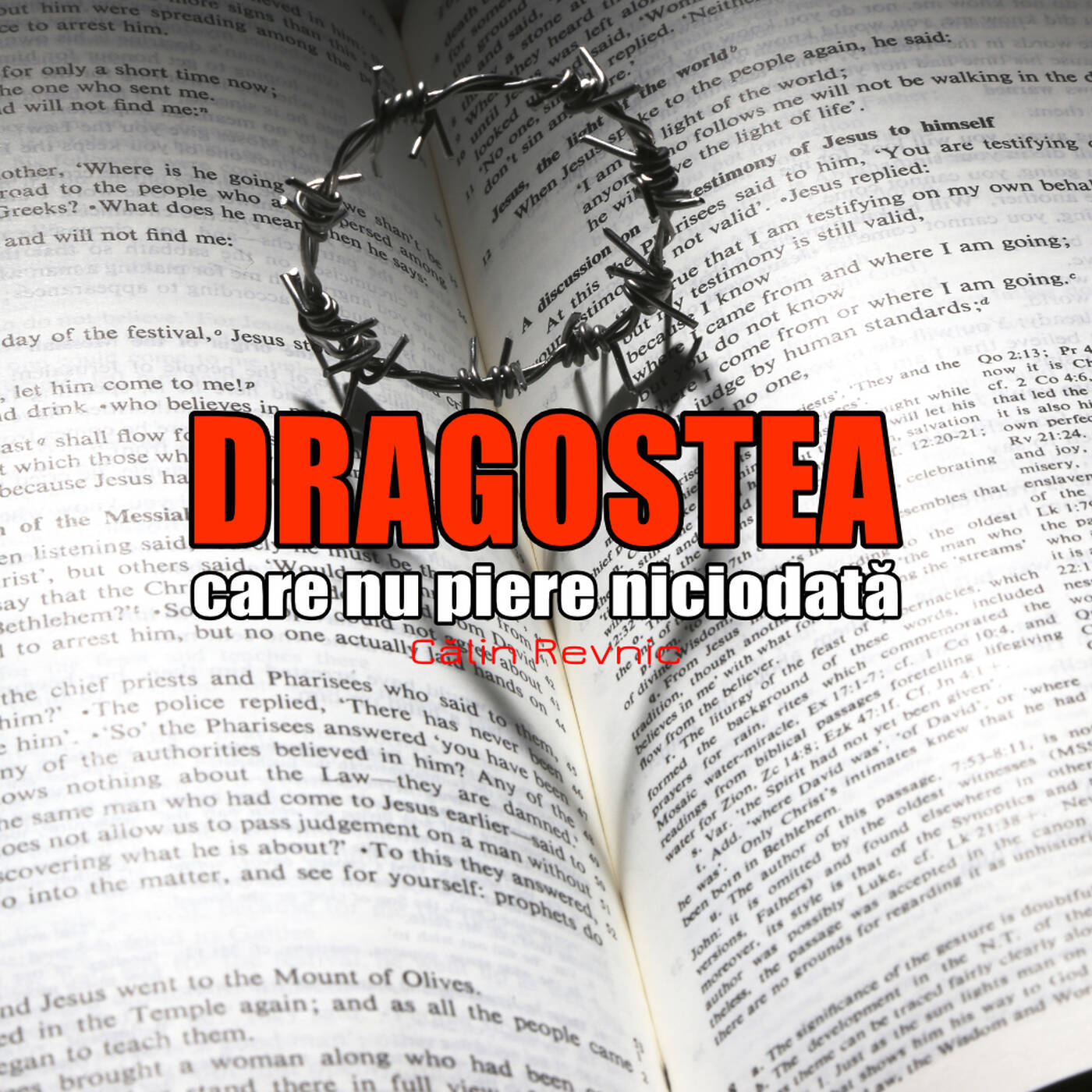 Dragostea care nu piere niciodată episode artwork