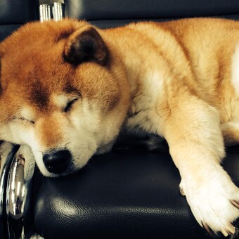 &aring;&plusmn;&plusmn;Yama-han&aelig;&acute;&frac34;