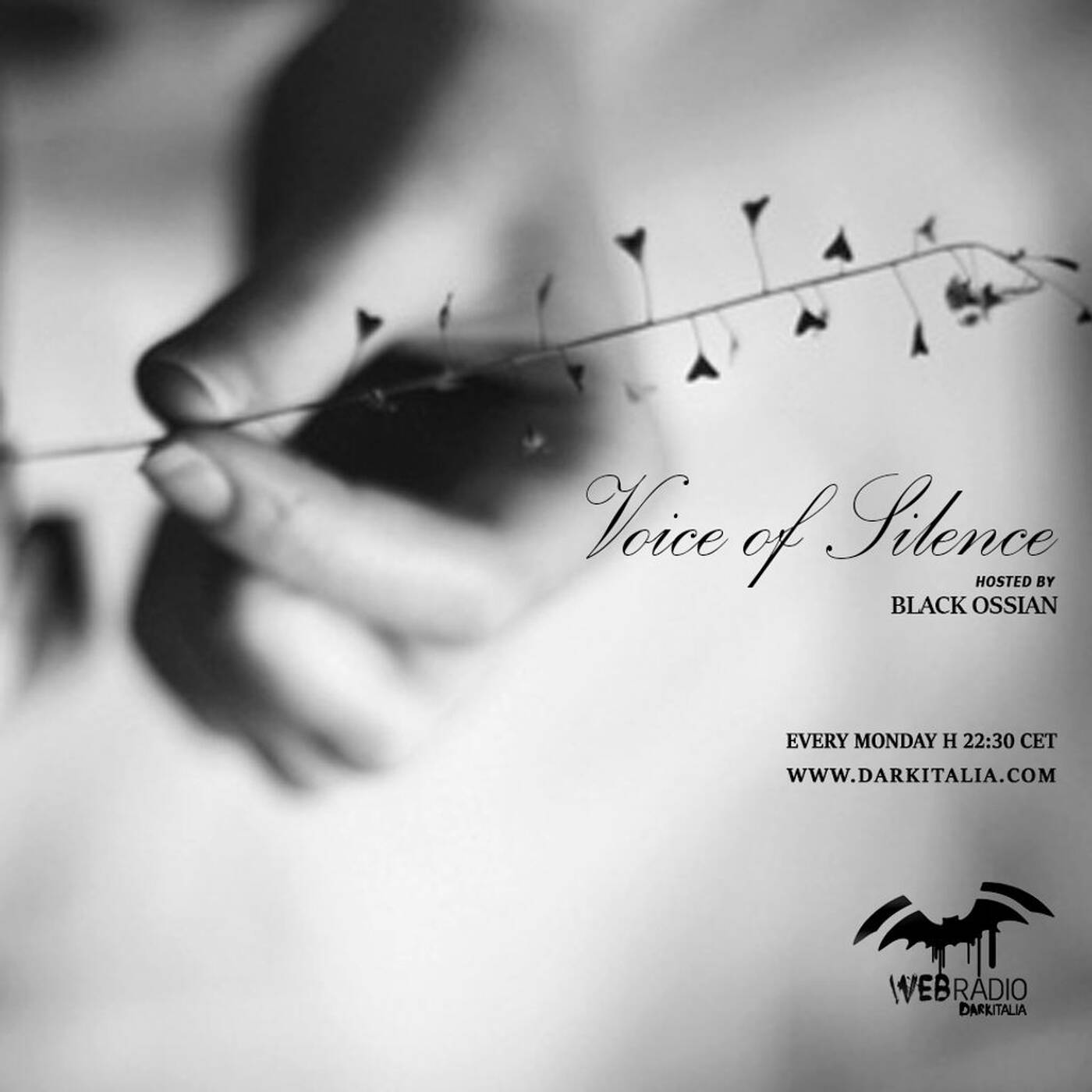 Voice of Silence - 24.02.2020 *Vision* episode artwork