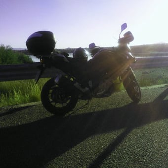 Fernando Puebla Castilla