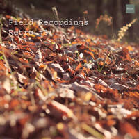Field Recordings | Retro #3 by PG3A