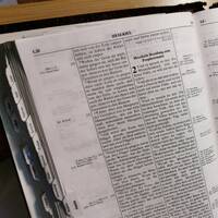 (k)ein Liebeslied - Predigt zu Jesaja 5,1-7, gehalten von Benjamin Rönsch by Predigtpodcast