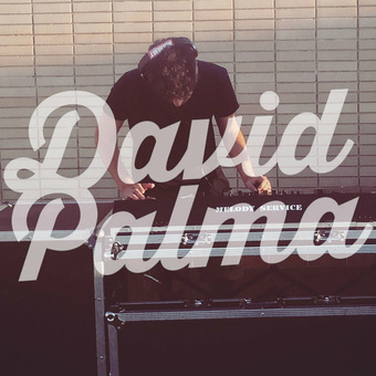 DAVID PALMA