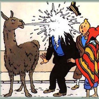 Tintin En Amerique Du Sud 2 by Lord Library