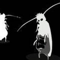 Herbst Buschkakerlake02 by T.I.A.N aka Dj-Herbst