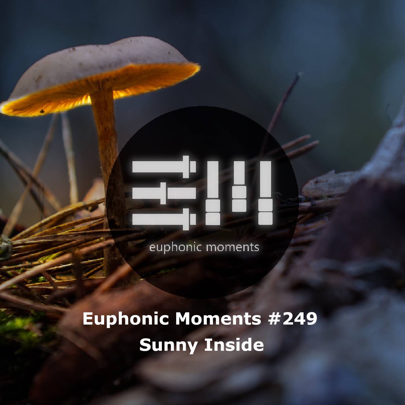 Euphonic Moments # 249 Sunny Inside episode artwork