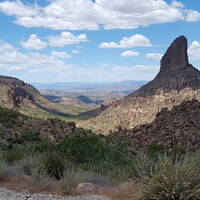 Sonoran Sessions: Saguaro by timmersisnthere