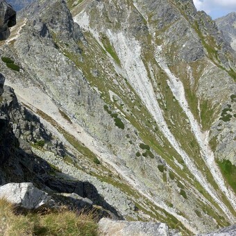 Marcela Jelenč&iacute;kov&aacute;