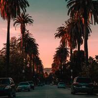 THE $UN$ET BOUL3VARD by Dominic Kiran