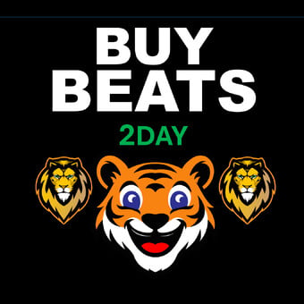 Buy Beats 2 Day