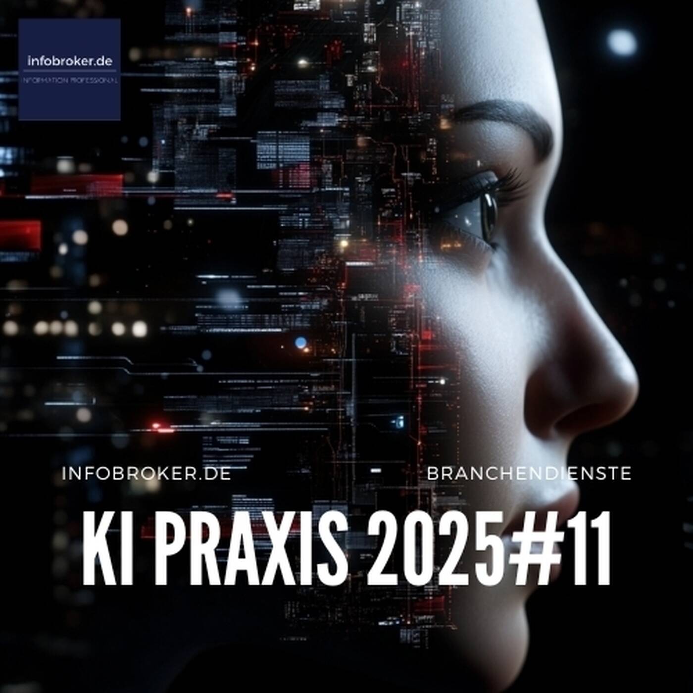 KI-Praxis – 2025#11 – Künstliche Intelligenz in Branchen und Märkten episode artwork