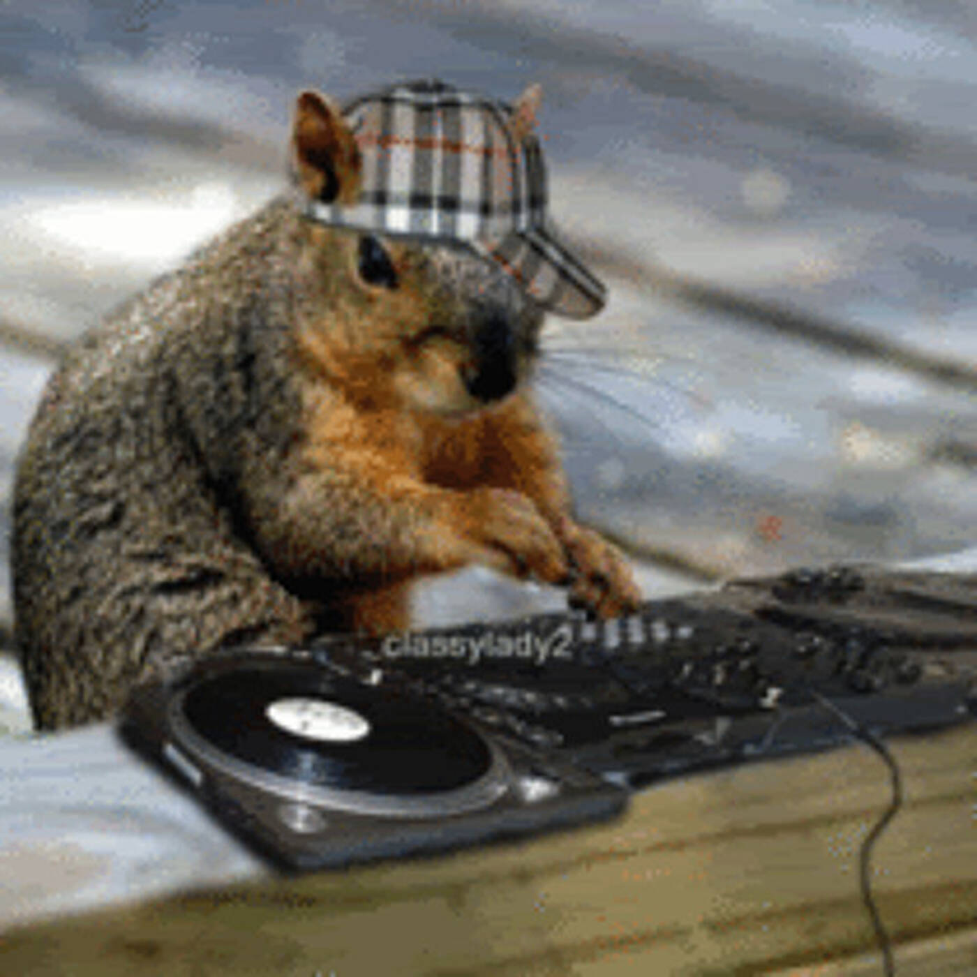 In Da Mix!! - Mixed by Mikie Wilde 2006 episode artwork
