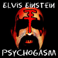 Elvis Einstein - Psychogasm (FREE DOWNLOAD!!!) by Elvis Einstein