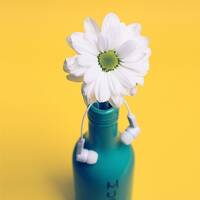 النباتات تصغي by Reason Of Hope