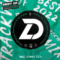LittleDeng TrackWolves Best Of 2022 DJ Mix by TrackWolves