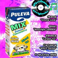 Puleva Mix - Megamix by DJ Yerald by MIXES Y MEGAMIXES