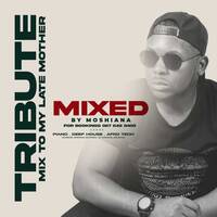 Tribute Mix By Moshiana by Moshiana Mogashoa