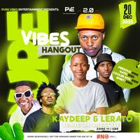 Pure Vibes 014 (Road To Pure Vibes Hangout 2025) Guest mix by LERVTO by Ponzo