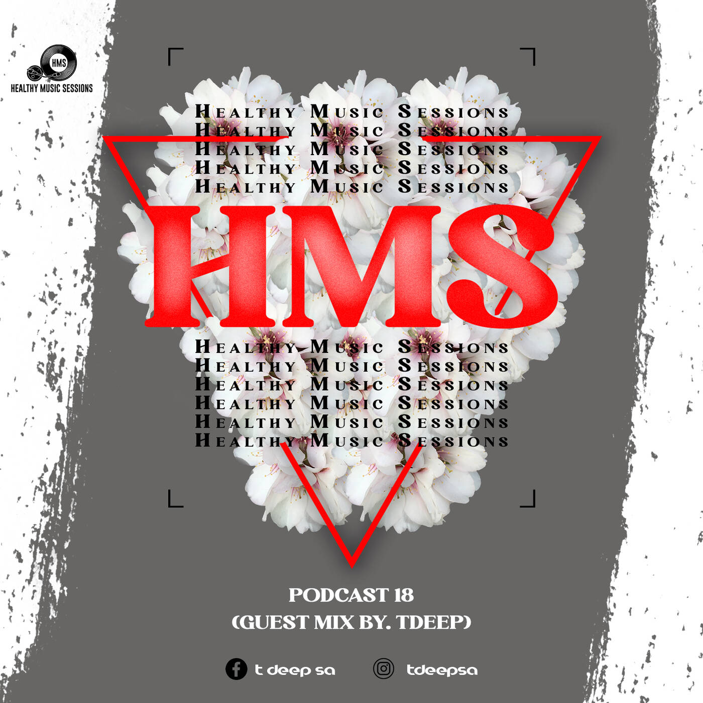 Healthy Music Sessions Podcast 018(guest mix)by T-DeepSa episode artwork